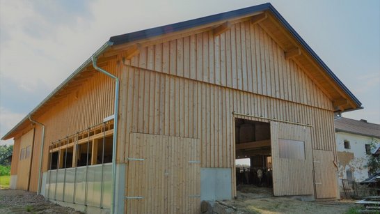 Rinderstall Kirchheim