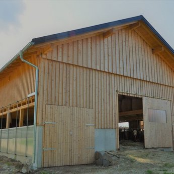 Rinderstall Kirchheim